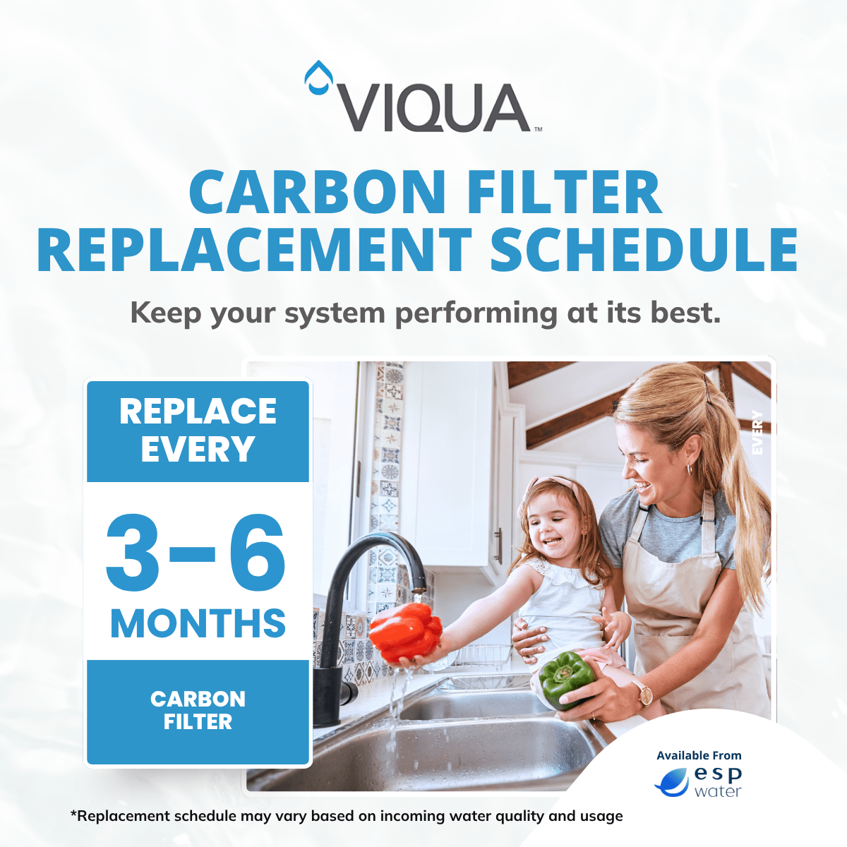 VIQUA carbon filter replacement schedule and maintenance guidance