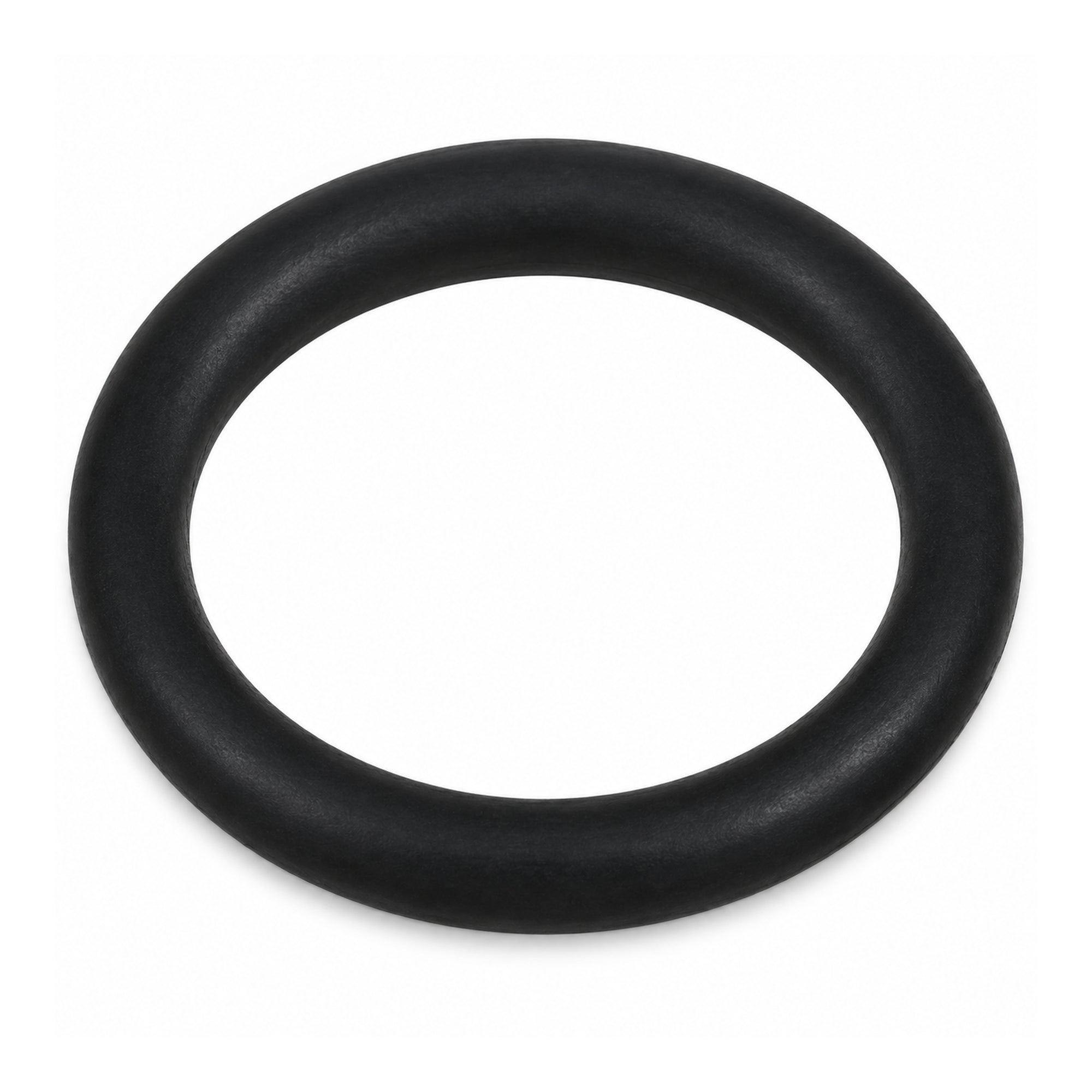 Luminor 300070 replacement O-ring for NSF-validated UV systems
