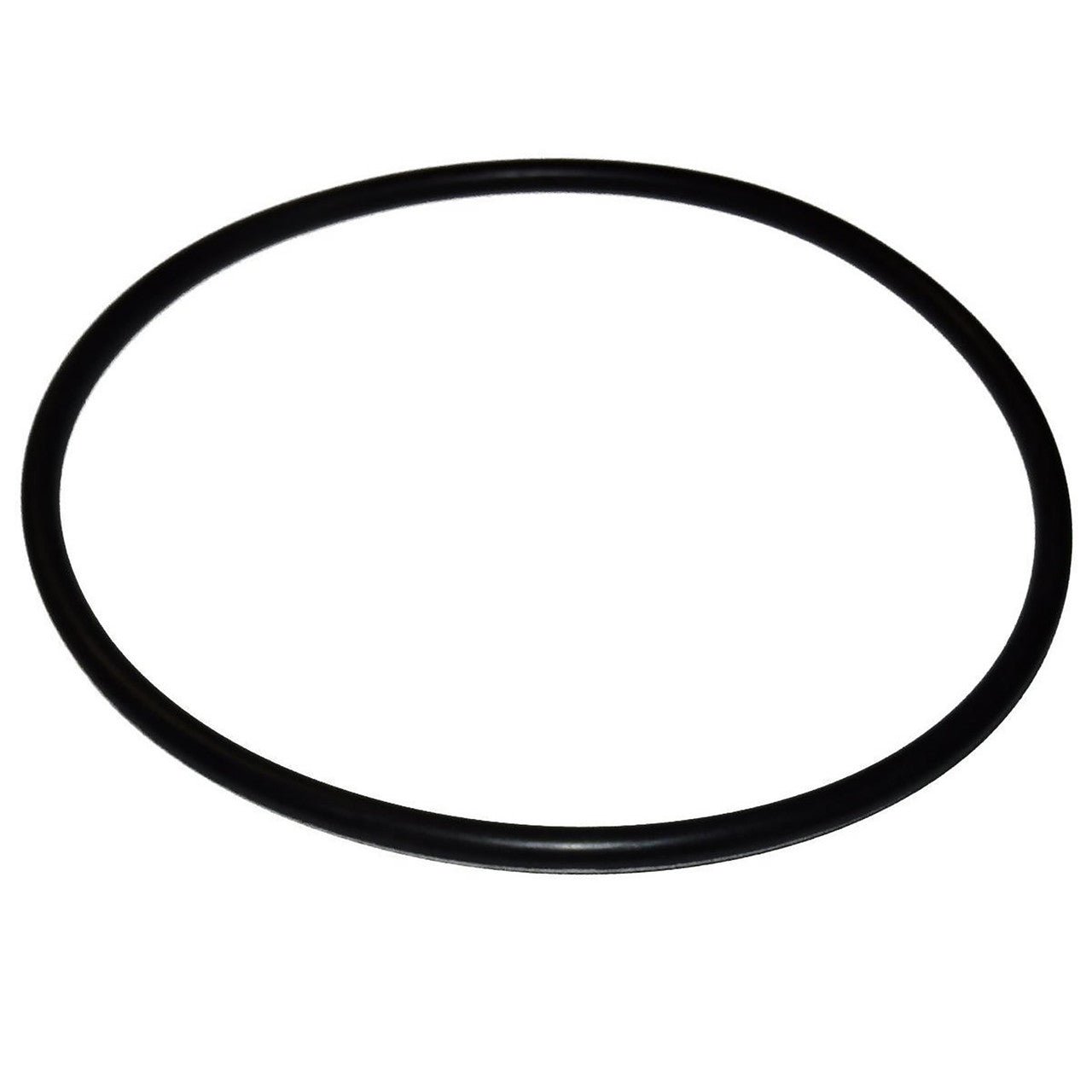 Pentair 151122 replacement O-ring for Big Blue filter housing