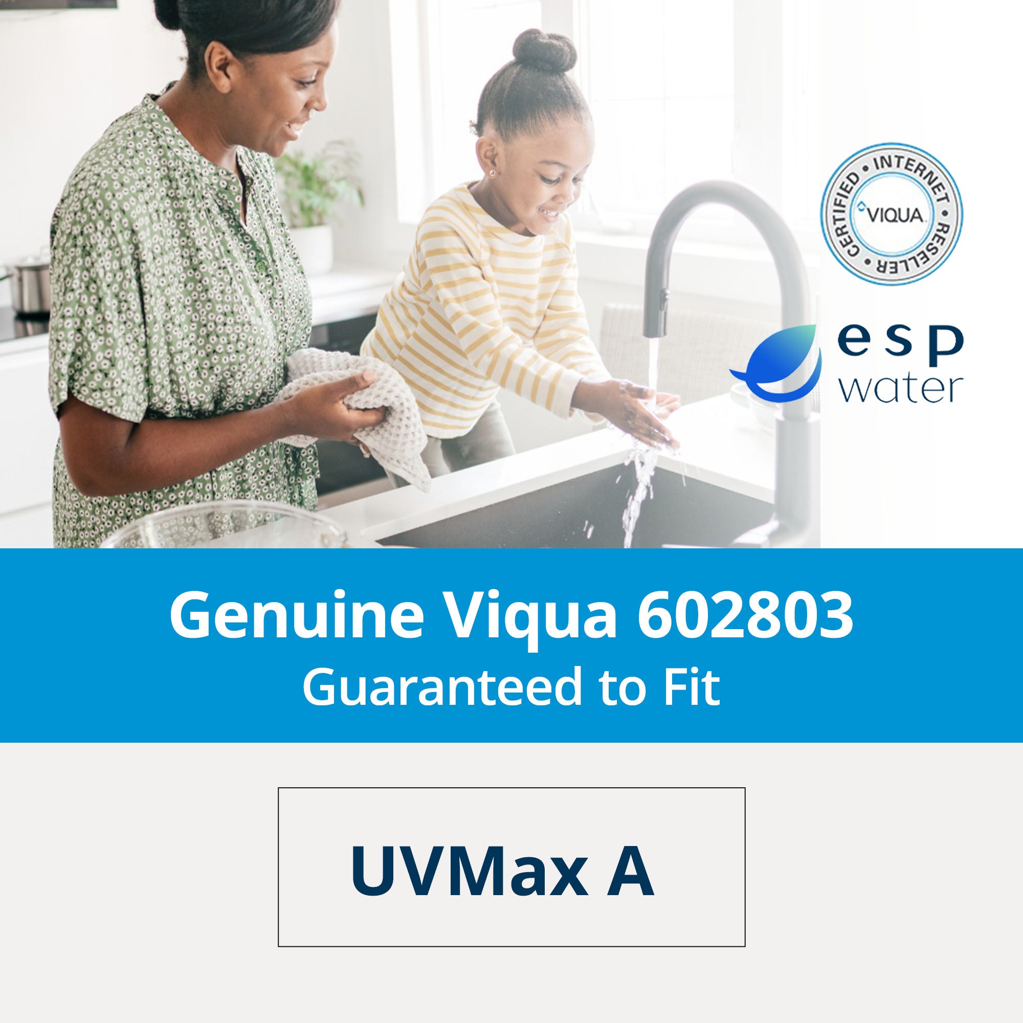 VIQUA UV Lamp for B, B4, B4-V UV Systems (602804) – ESP Water