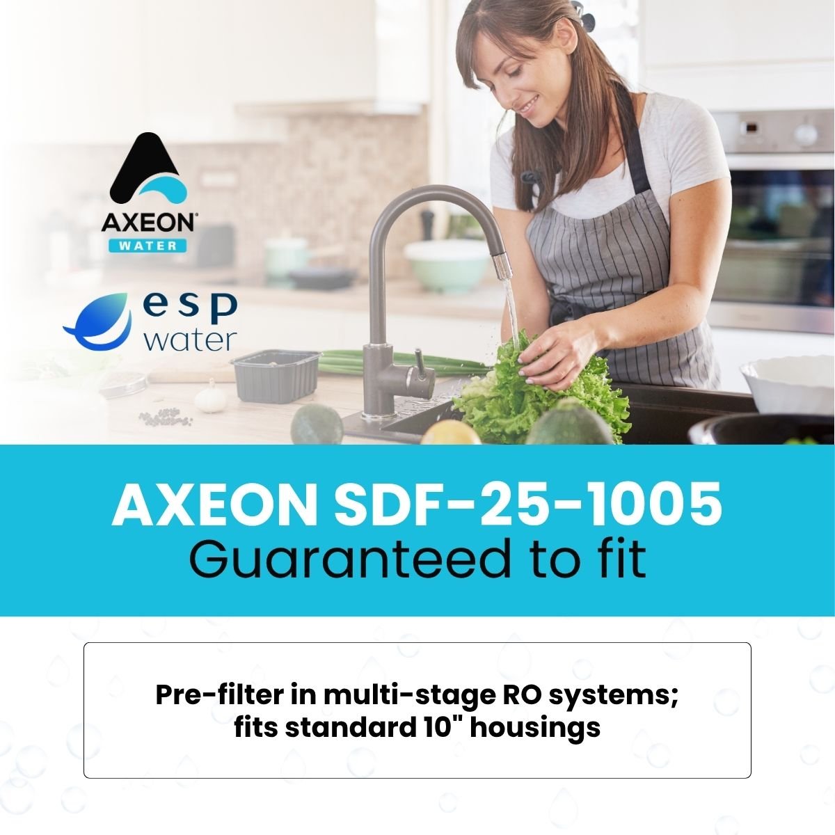 AXEON SDF - 25 - 1005 Sediment Filter 5 Mic 2.5" x 10" 200621 200621 - ESP Water