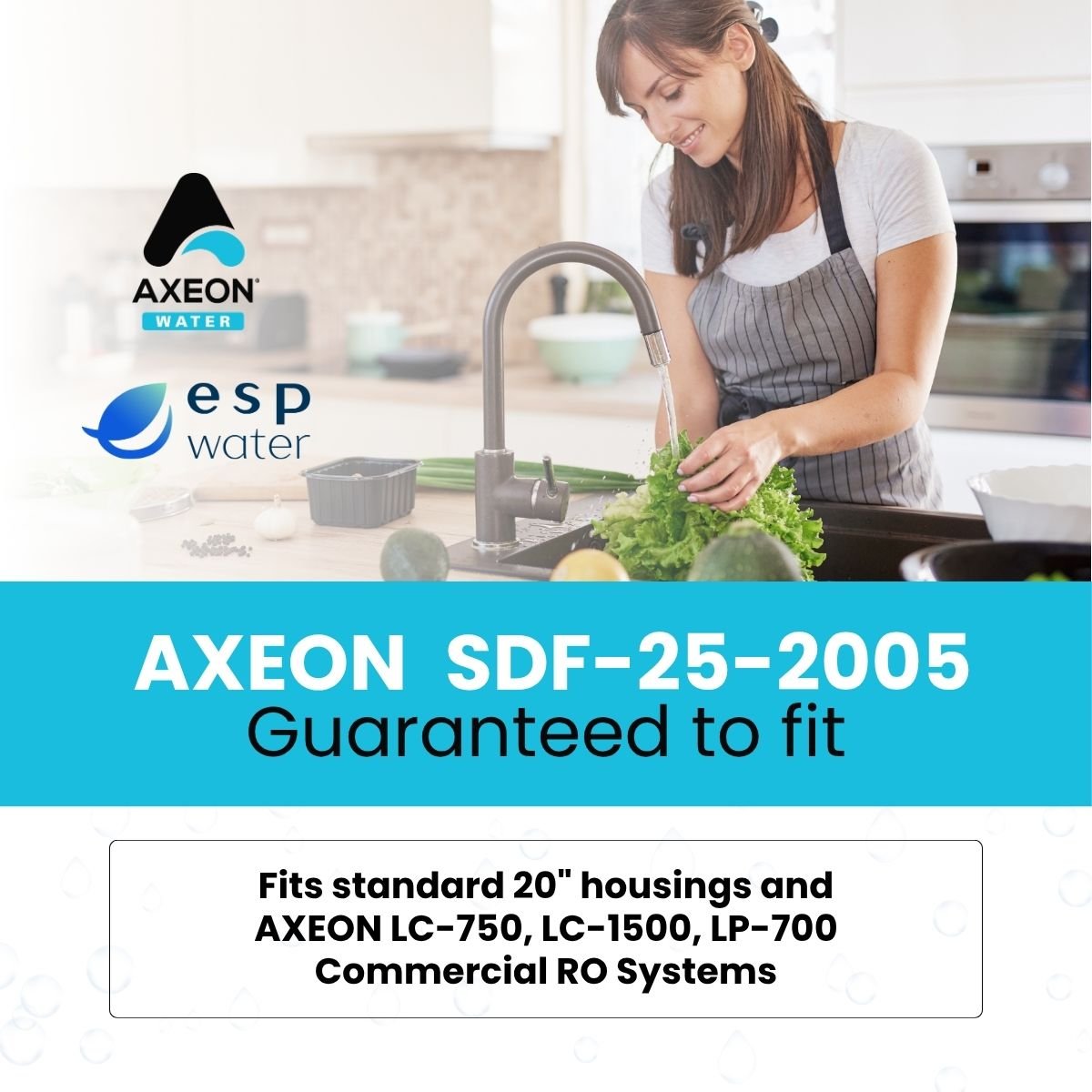AXEON SDF - 25 - 2005 Sediment Filter 5 Micron 2.5" x 20" 200626 200626 - ESP Water