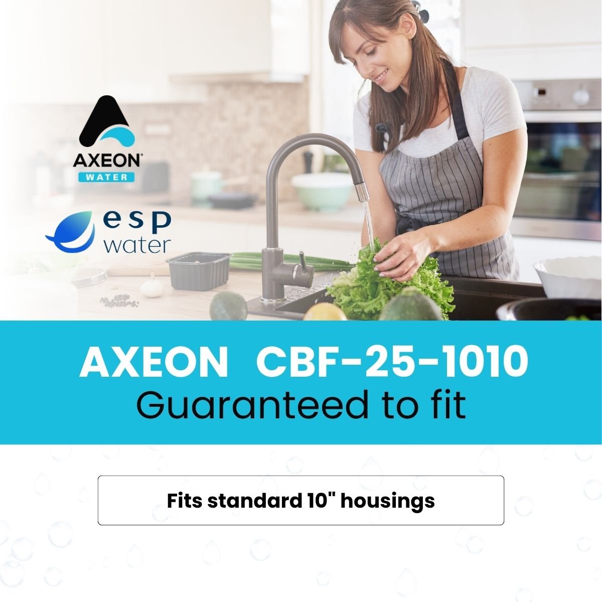 AXEON CBF - 25 - 1010 Carbon Block Filter 10 Microns, 200658 200658 - ESP Water