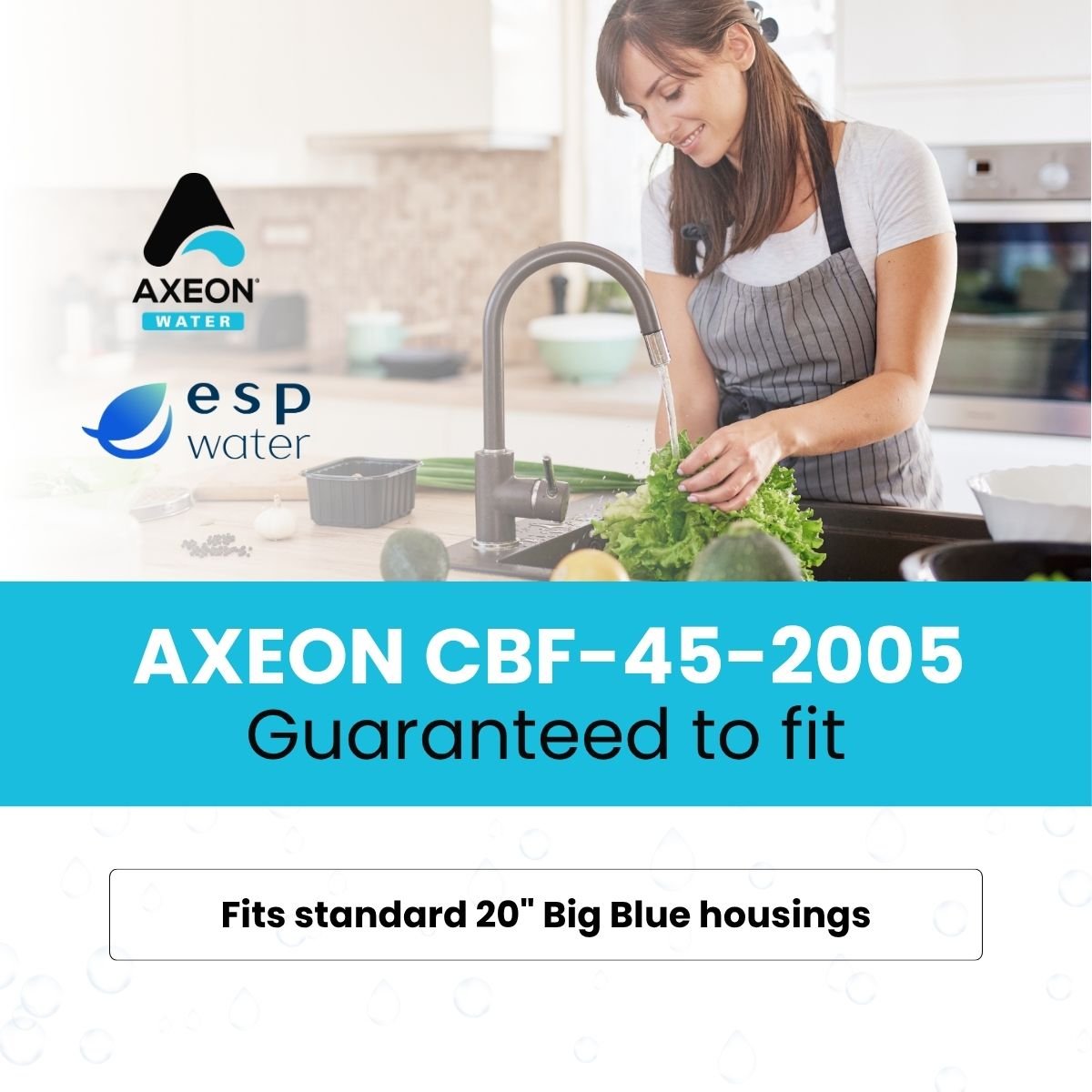 AXEON CBF - 45 - 2005 Carbon Block Filter 5 Microns 200661 200661 - ESP Water
