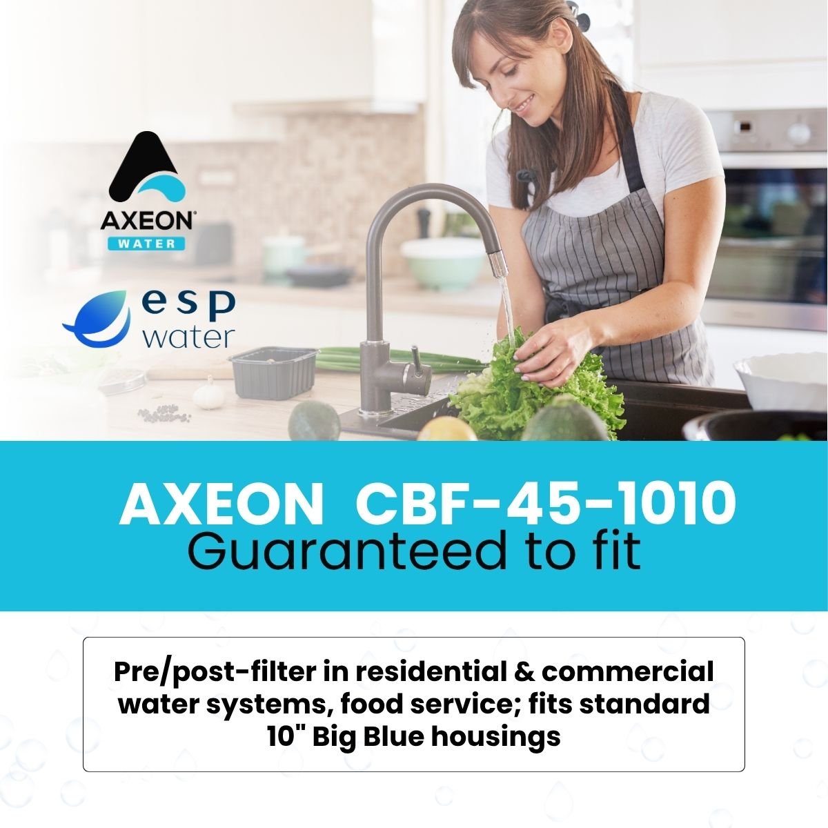 AXEON CBF - 45 - 1010 Carbon Block Filter 10 Micron, 200662 200662 - ESP Water