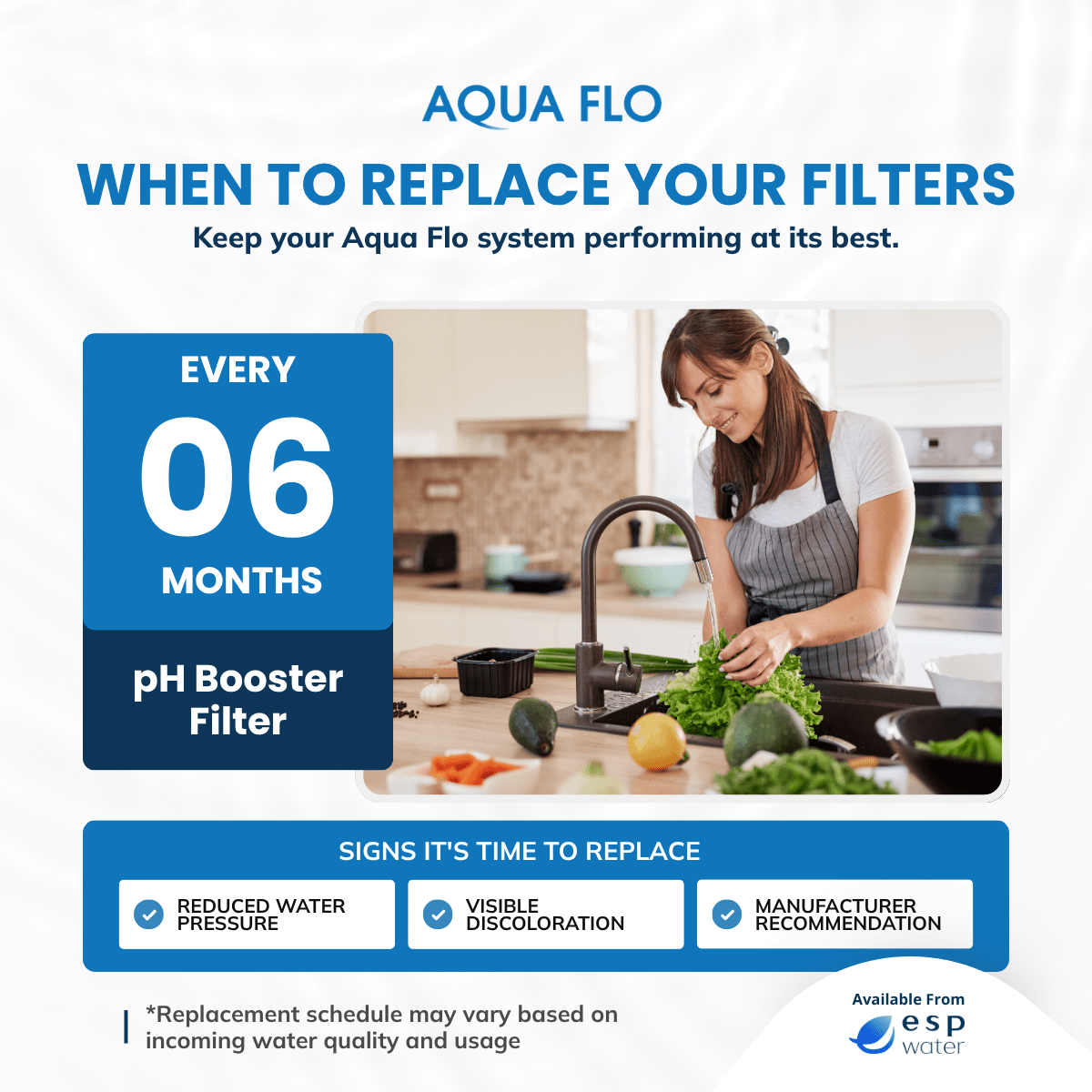 Aqua Flo 41407007 pH Booster Filter Quick Change 41407007 - ESP Water