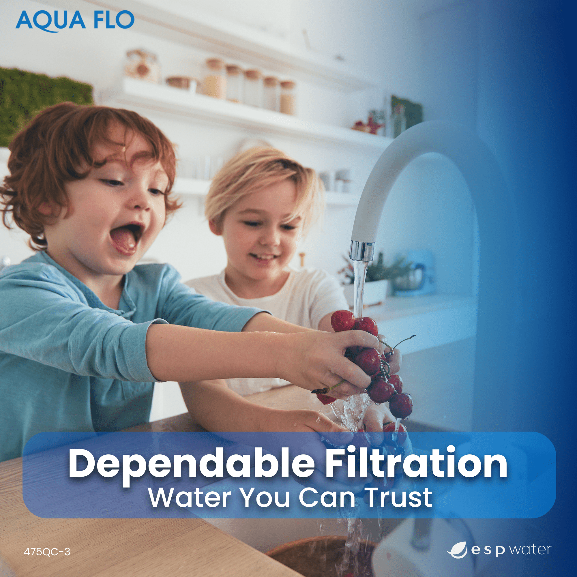 Aqua Flo 475QC - 3 Ultrafiltration Water Filter 3 - Stage System 20010201 20010201 - ESP Water