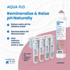 Aqua Flo 41407007 pH Booster Filter Quick Change 41407007 - ESP Water
