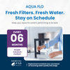 Aqua Flo 65010088 COC - 10 Purple Activated Carbon Filter 10 Micron 65010088 - ESP Water