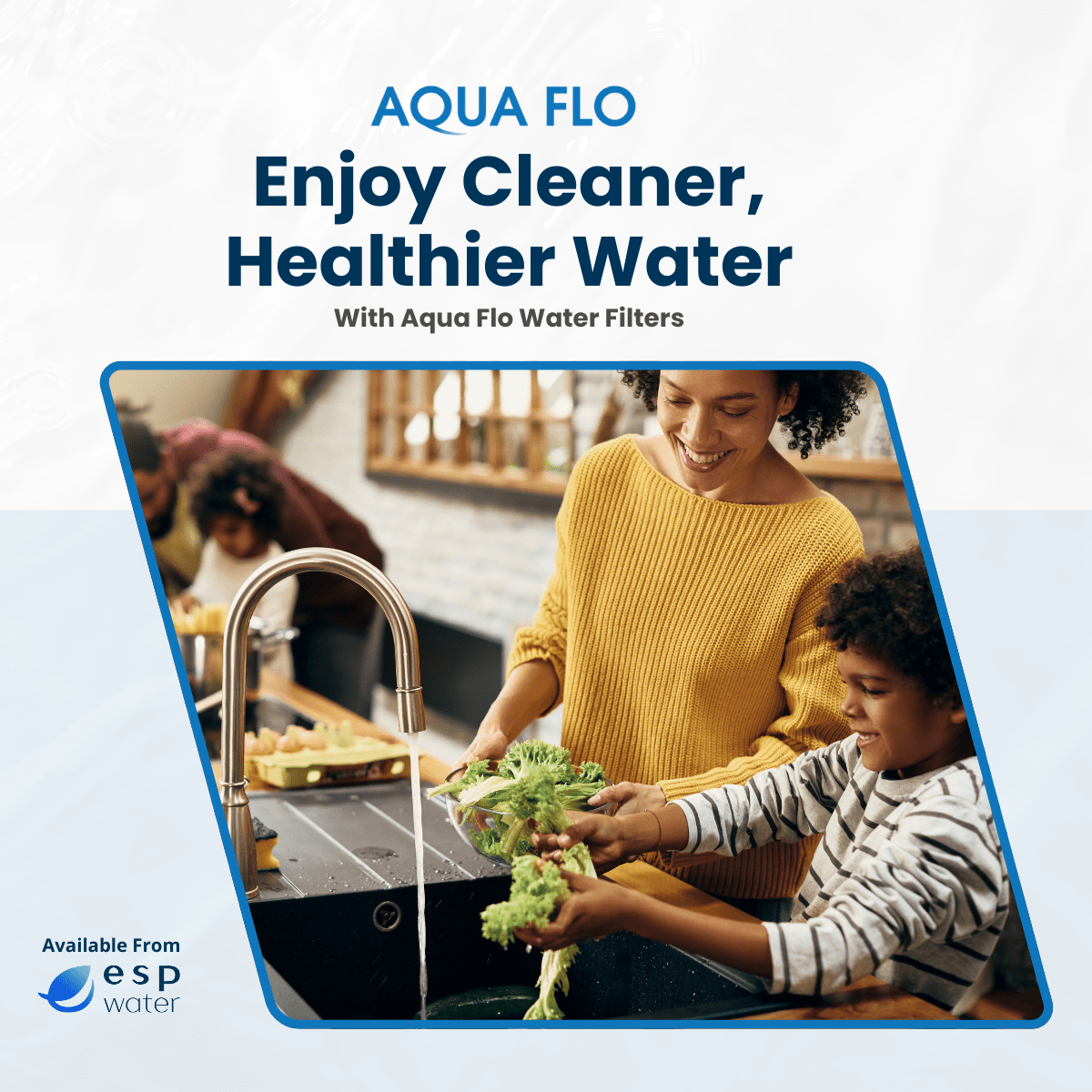 Aqua Flo 65010086 SED - 10 Blue RO Sediment Filter 5 Micron 65010086 - ESP Water