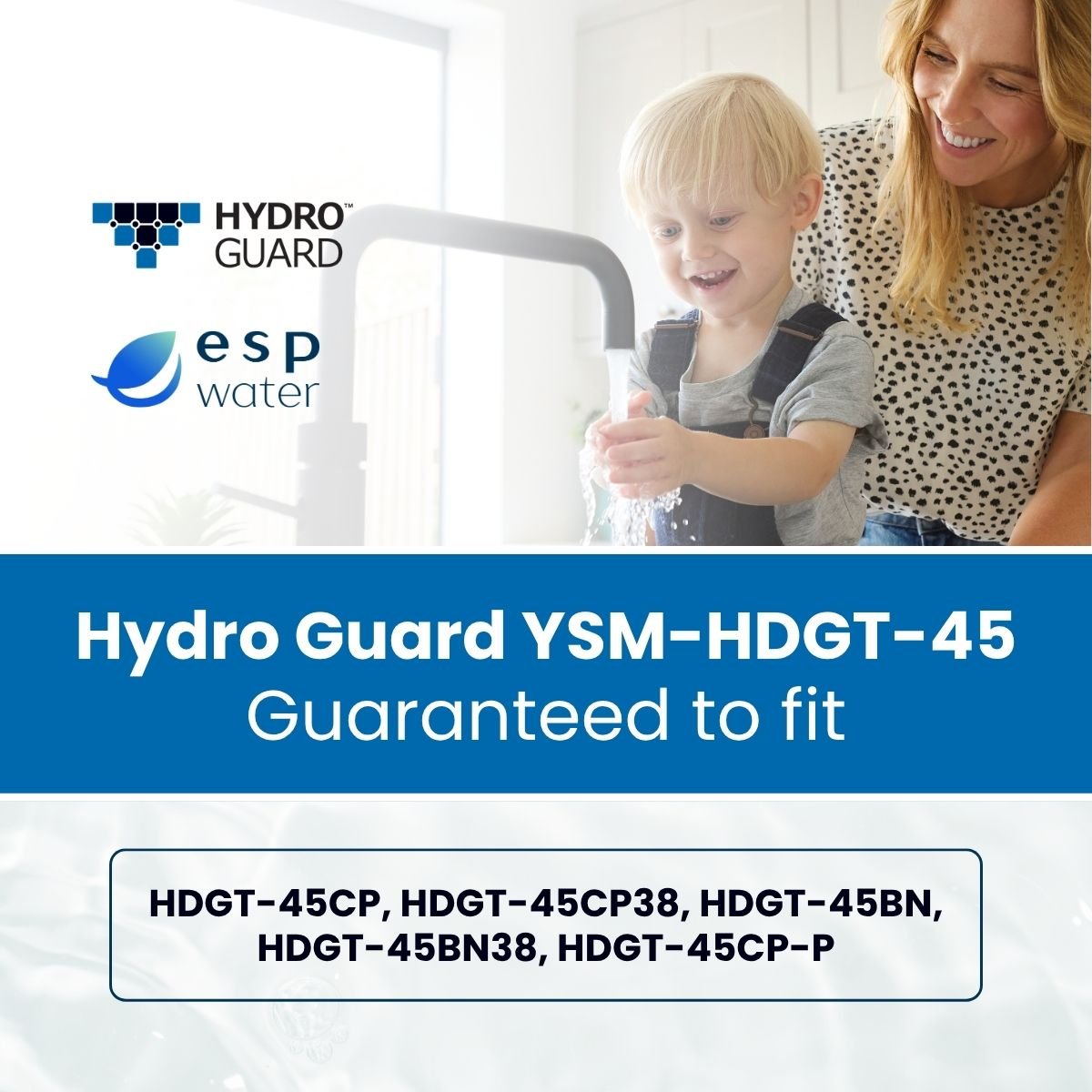 Hydro Guard HDGT - 45 Replacement Filters with RO Membrane YSM-HDGT-45 - ESP Water