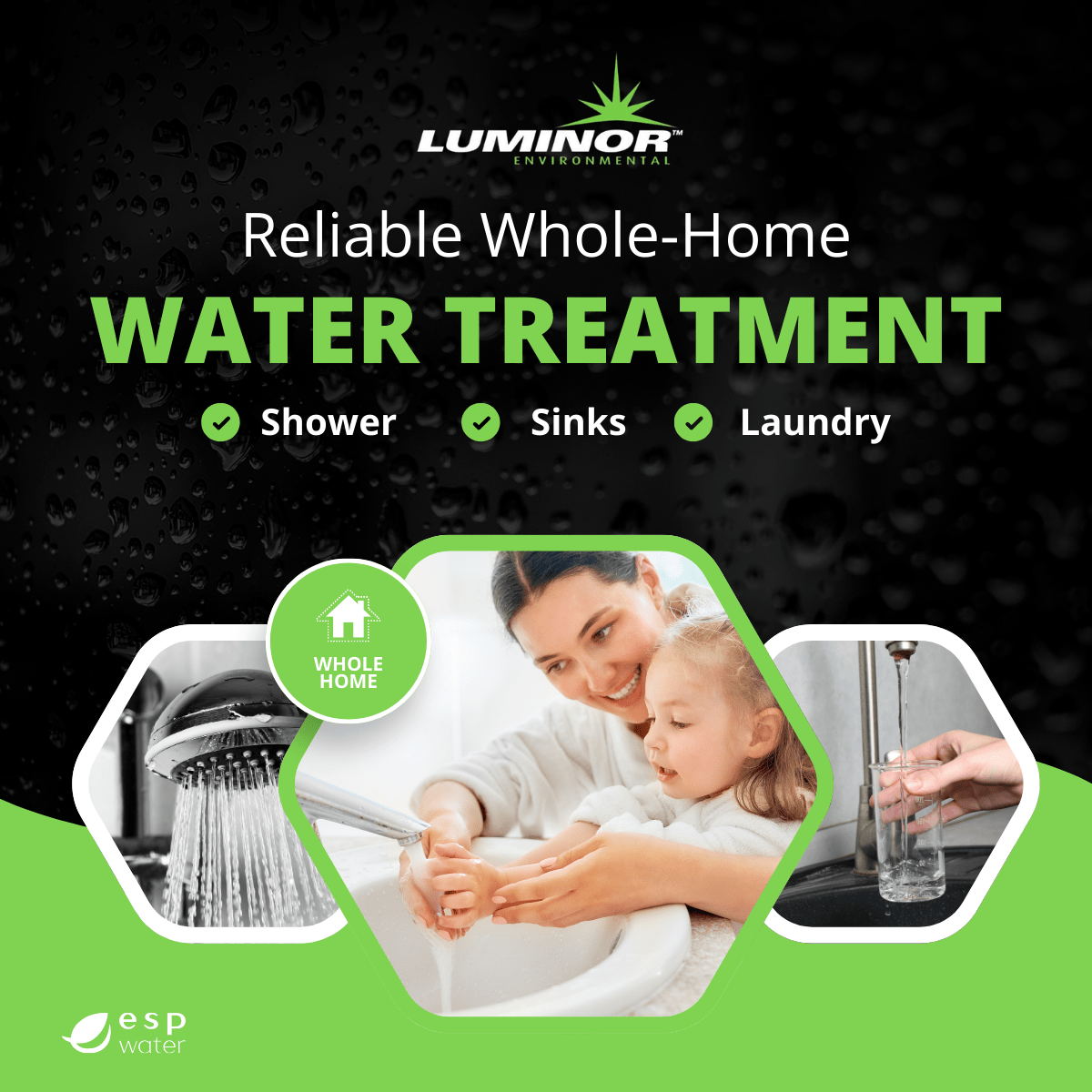 Luminor Blackcomb - HO 5.1 LBH5 - 151 Ultraviolet System 15 GPM LBH5-151 - ESP Water
