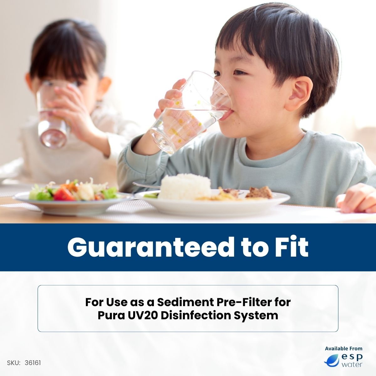 Pura 36161 Sediment Filter 5 micron for UV20 Systems 20 x 2.5 Inches 36161 - ESP Water