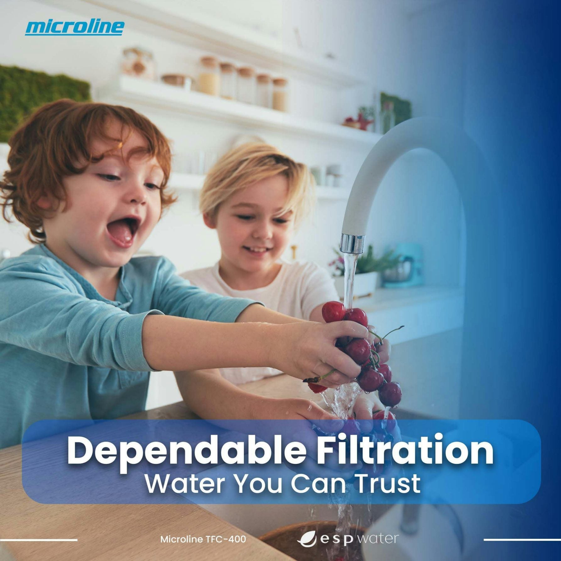 Microline TFC-400-ESP RO System 50 GPD – ESP Water
