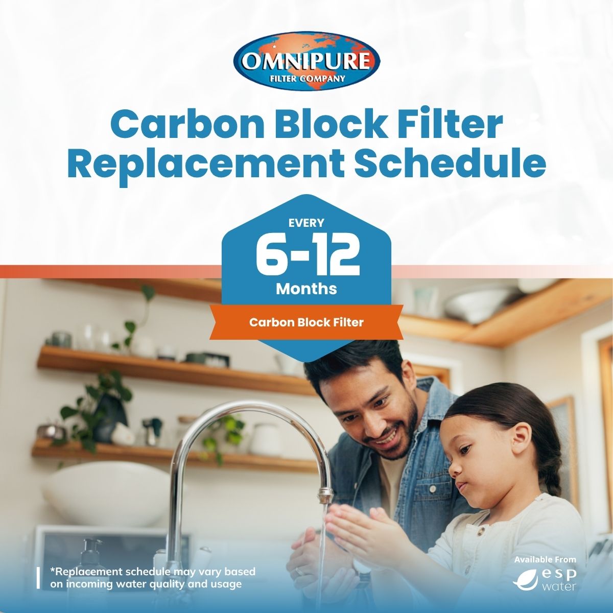 Omnipure Q5615 Carbon Block Filter with Lead Reduction 1 Mic 2.5"x12" Q5615 - ESP Water