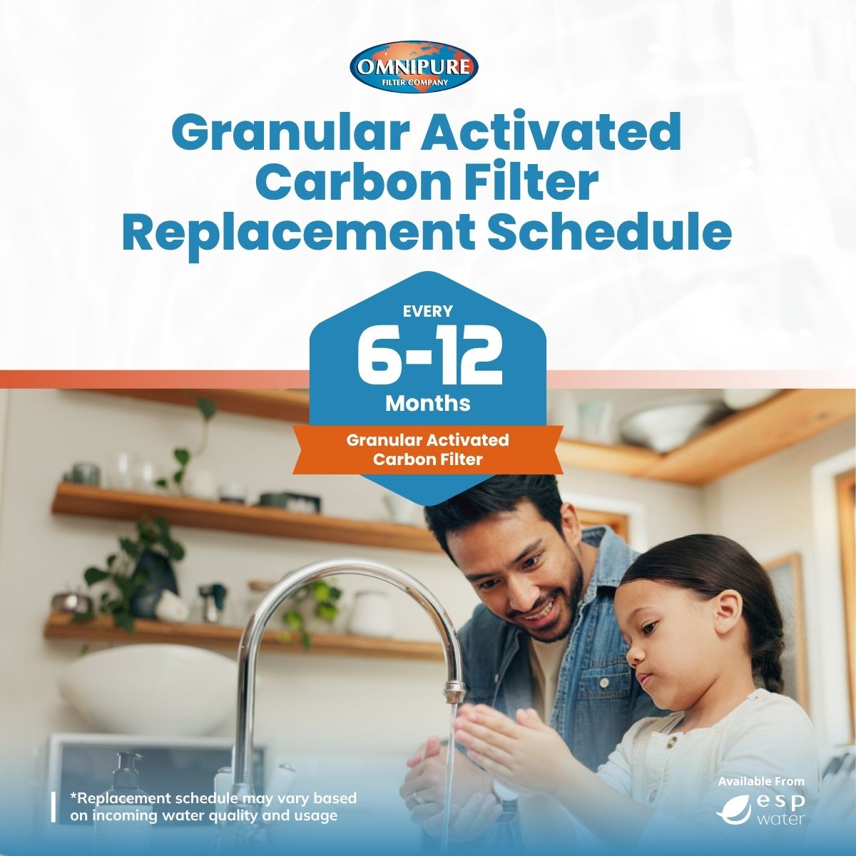 Omnipure Q5633 Granular Carbon Filter GAC T33 2.5" x 12" Q5633 - ESP Water