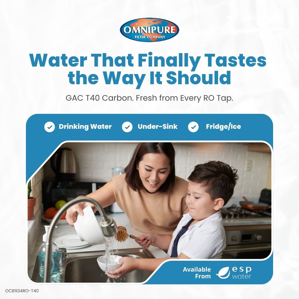 Omnipure OCB934RO T40 GAC Granular Carbon Filter 2.5" x 10" OCB934RO T40 - ESP Water