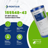 Pentair EP - BB Carbon Block Filter 5 Micron 4.5" x 10" 155548 - 43 155548-43 - ESP Water