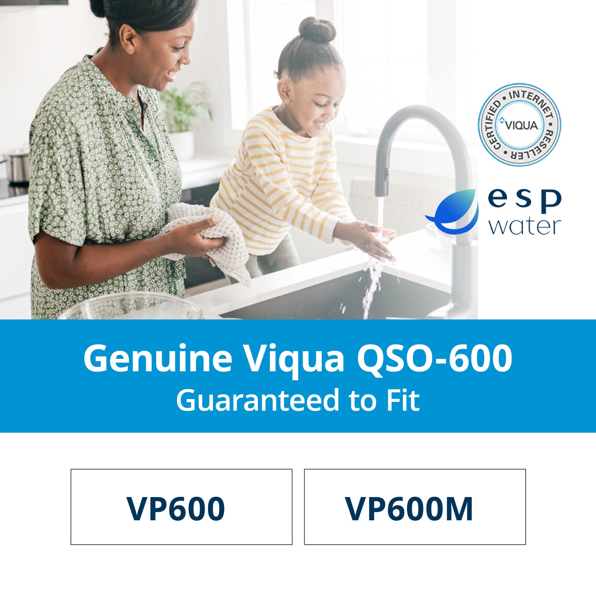 VIQUA QSO-600 UV Quartz Sleeve for VP600 and VP600M - ESP Water 