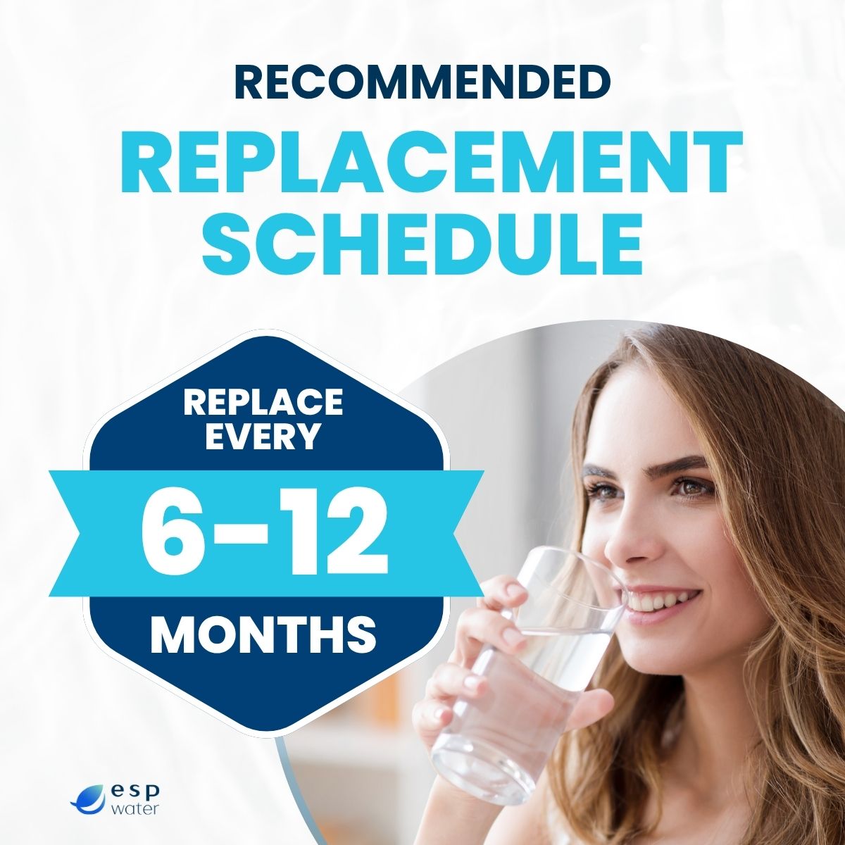 Pura 36161 Sediment Filter 5 micron for UV20 Systems 20 x 2.5 Inches 36161 - ESP Water