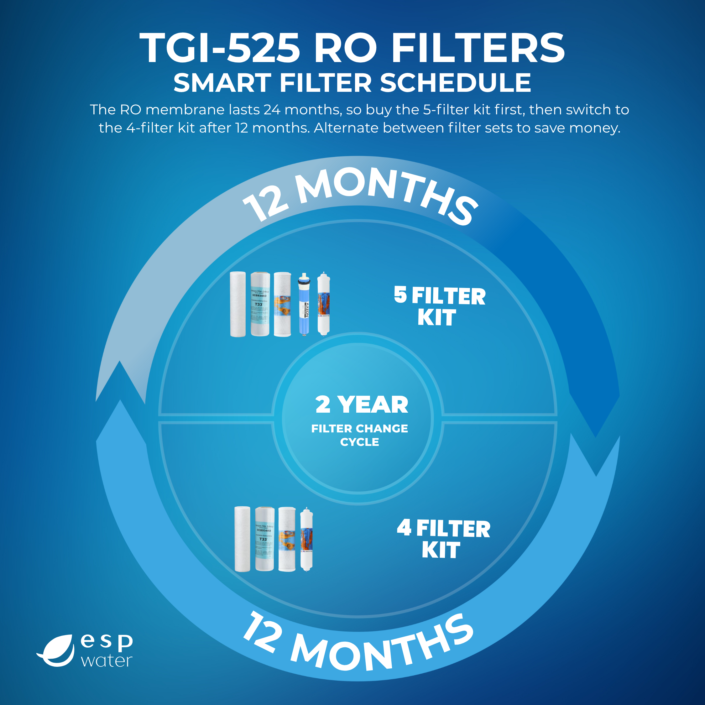 TGI-525 filter replacement schedule infographic