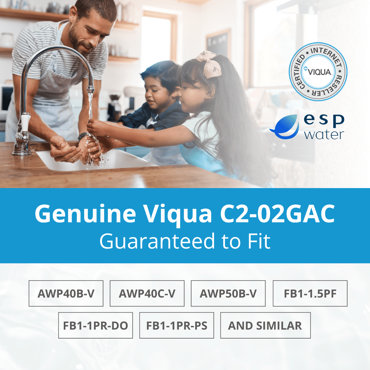 VIQUA C2 - 02GAC Granular Carbon Filter GAC 4.5" x 20" C2-02GAC - ESP Water