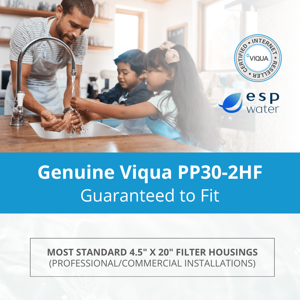 VIQUA PP30 - 2HF Pleated Sediment Filter 30 Micron 4.5" x 20" PP30-2HF - ESP Water