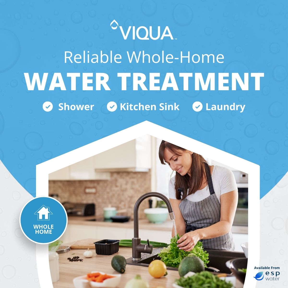 VIQUA VH150 UV System 5 GPM, 110 - 240V, 3/4"x1" NPT VH150 - ESP Water