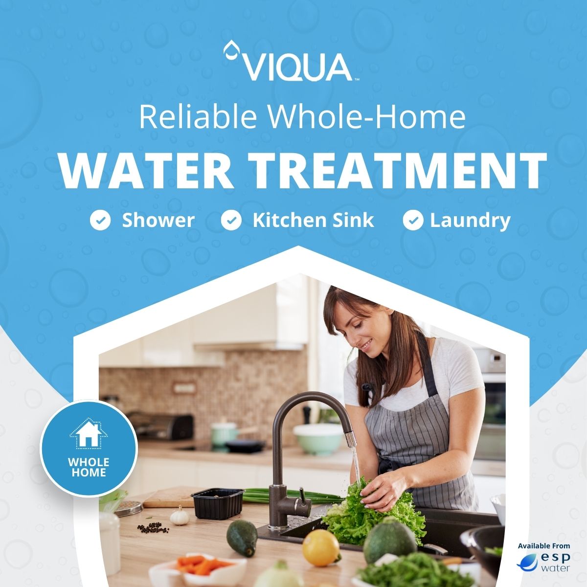 VIQUA VH200 - F10 UV System with Sediment Filter 9 GPM 1" MNPT VH200-F10 - ESP Water