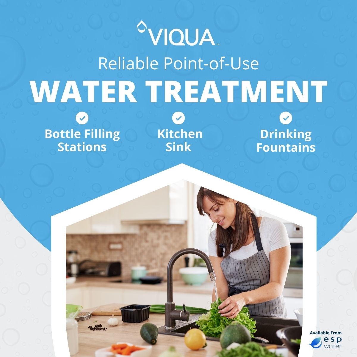 VIQUA VT1 UV System 1 GPM 3/8" and 1/2" Combo NPT VT1 - ESP Water