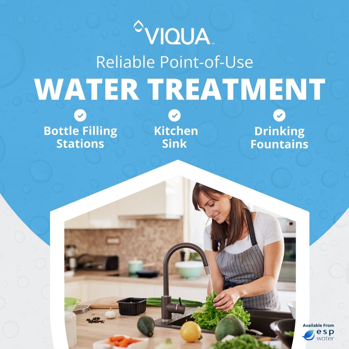 VIQUA VT4 UV System 3.5 GPM 1/2" MNPT VT4 - ESP Water