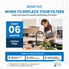 Aqua Flo 41407002 quick-change carbon filter replacement schedule and maintenance guidance