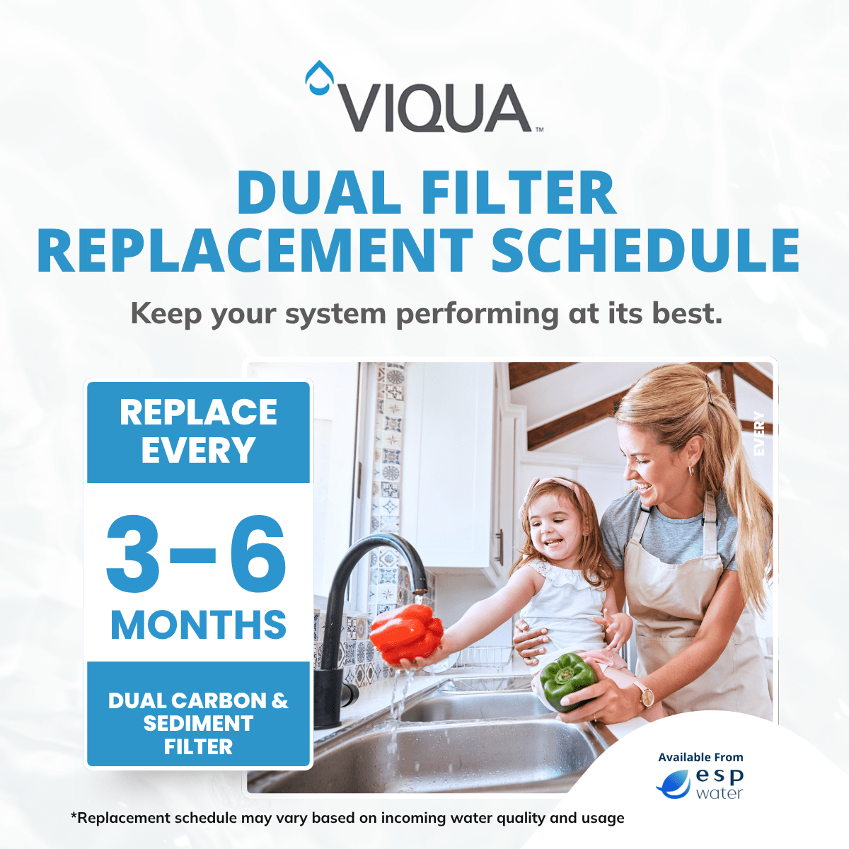 VIQUA C2 - 02 Carbon Block Filter 10 Micron 4.5" x 20" C2-02 - ESP Water