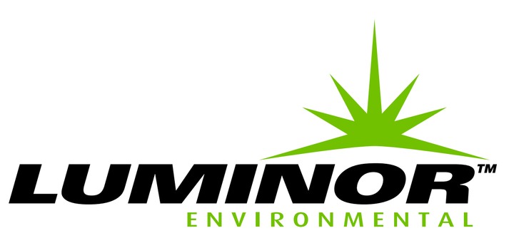 Luminor logo