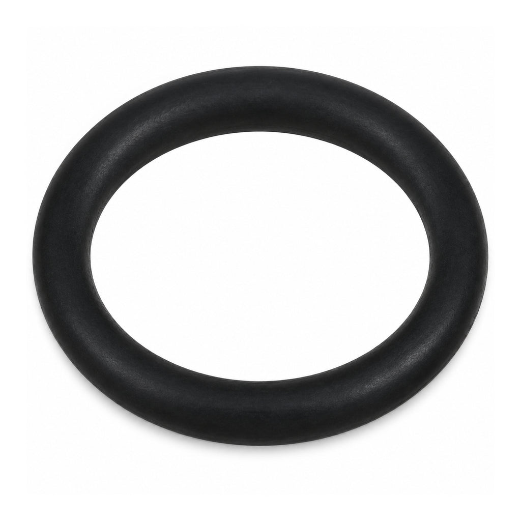 Luminor 300070 replacement O-ring for NSF-validated UV systems