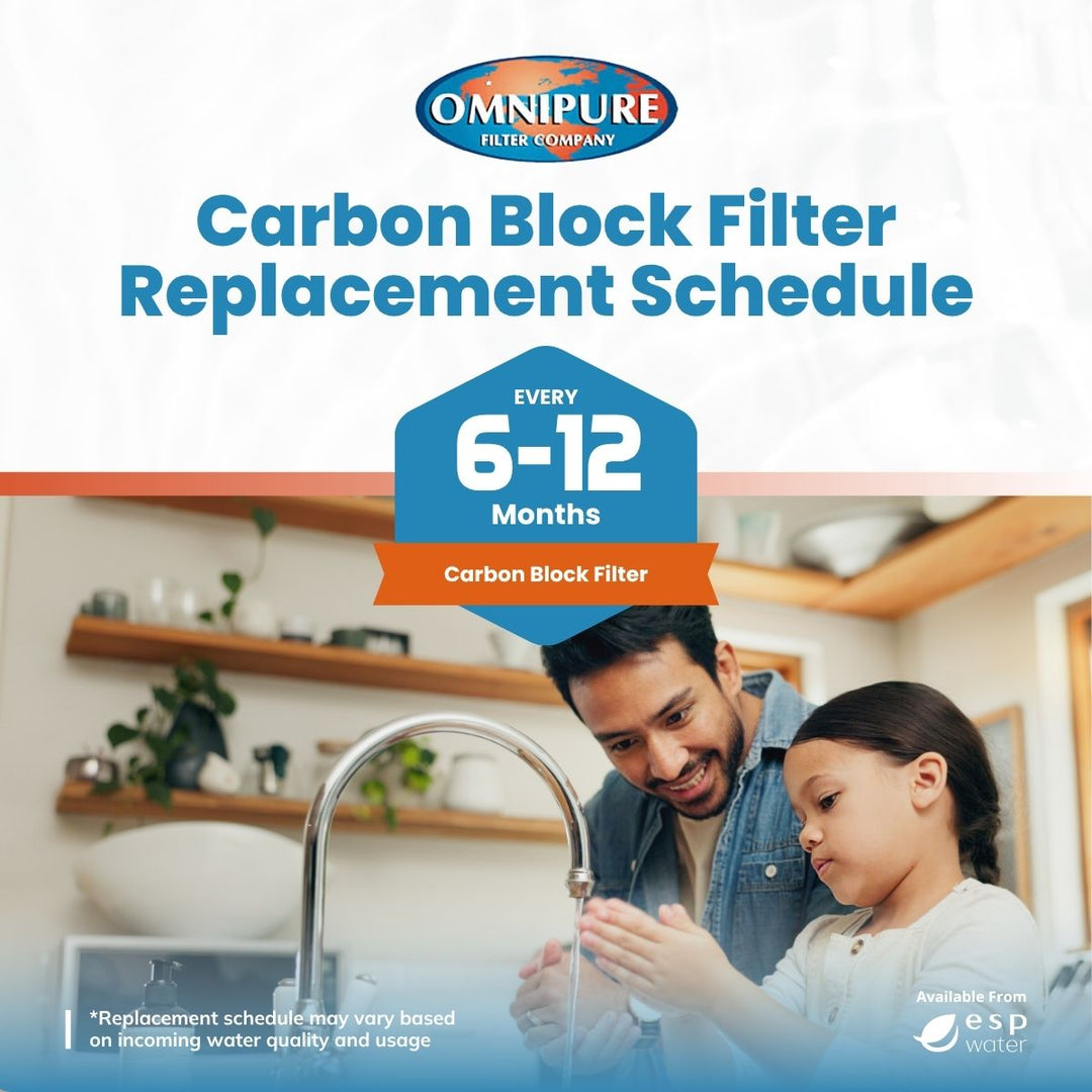 Omnipure OMB934-5m carbon block filter replacement schedule and maintenance guidance