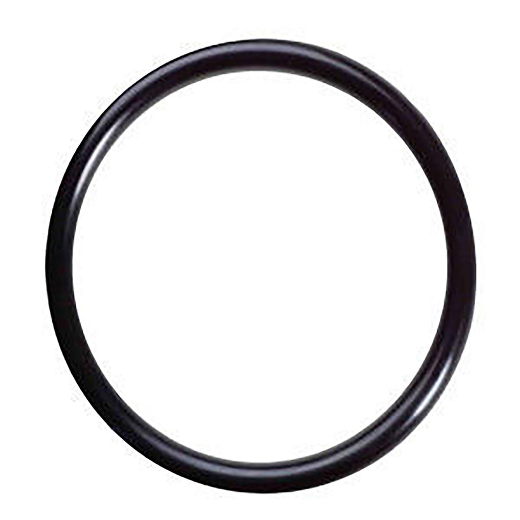 PURA/Aqua Flo O-ring for Inner Quartz Sleeve UVBB | ESP Water Products